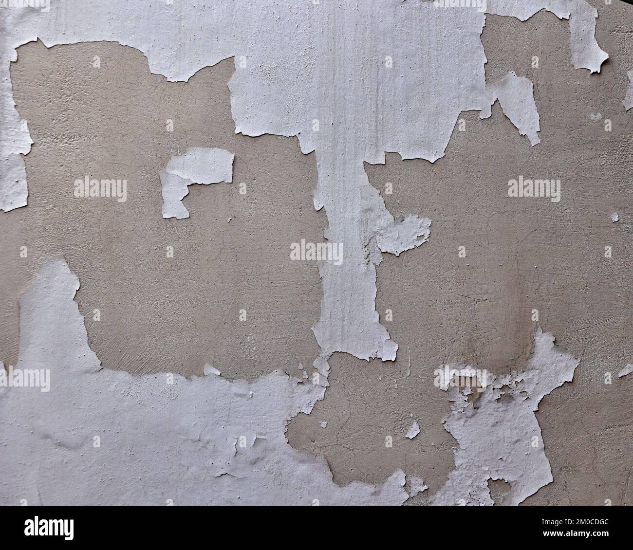 BACKGROUND TEXTURE - White peeling paint on wall Stock Photo - Alamy