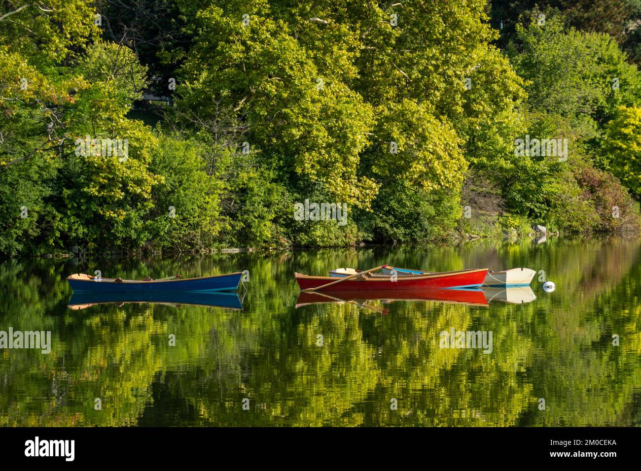 Hoyt lake delaware park hires stock photography and images Alamy