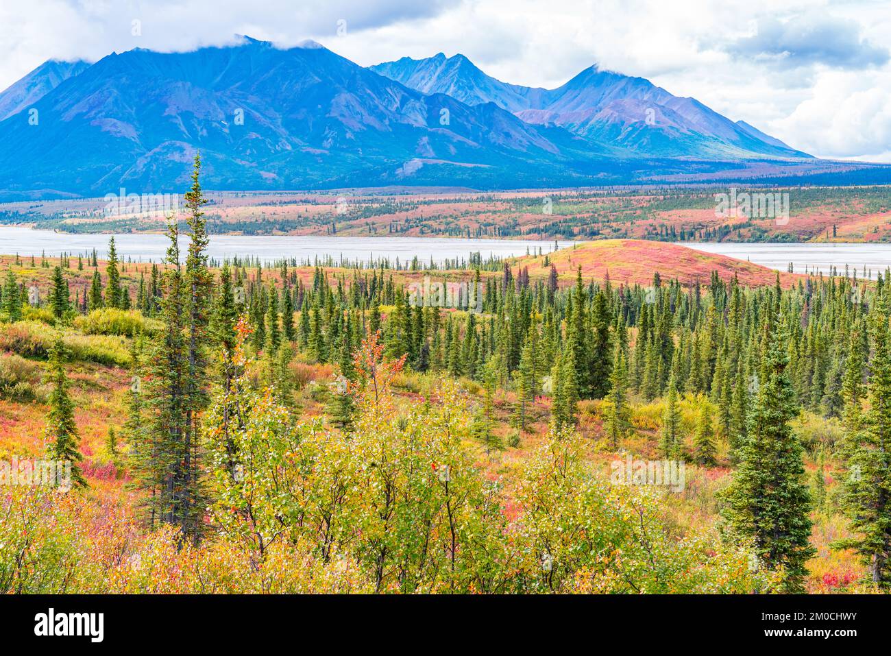 Tundra and mountains along the Sustina River on the  Denali Highway in Alaska Stock Photo