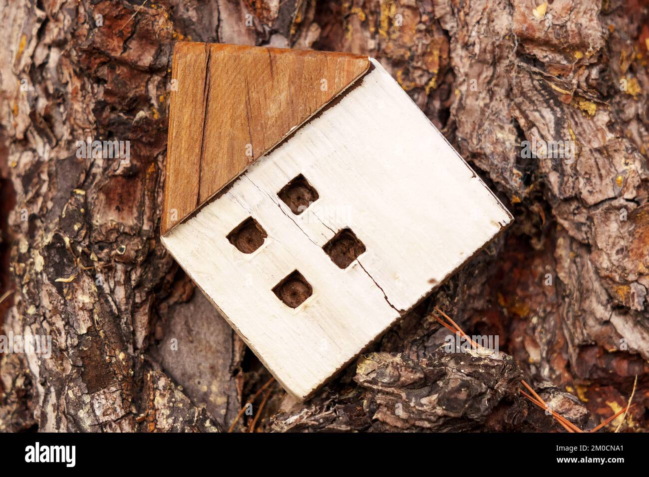 Wooden house model on the bark of a forest tree in nature. Home eco ...