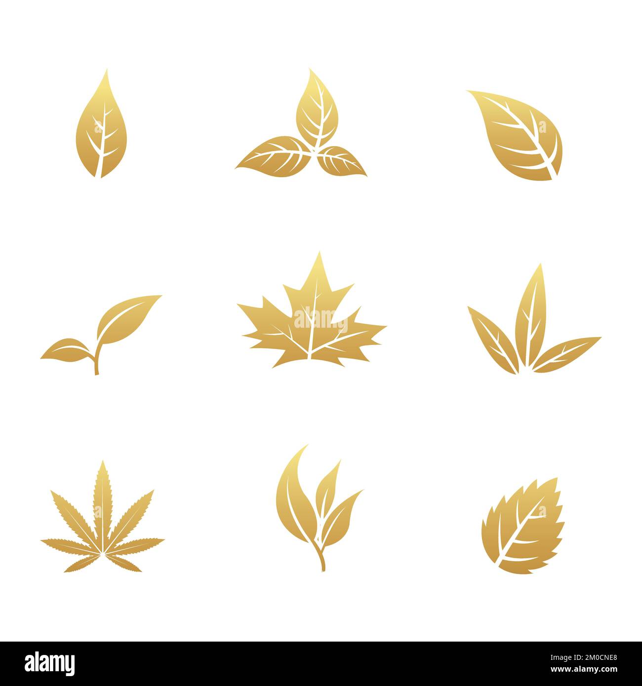Golden Leaf Icons on a White Background Stock Vector Image & Art - Alamy