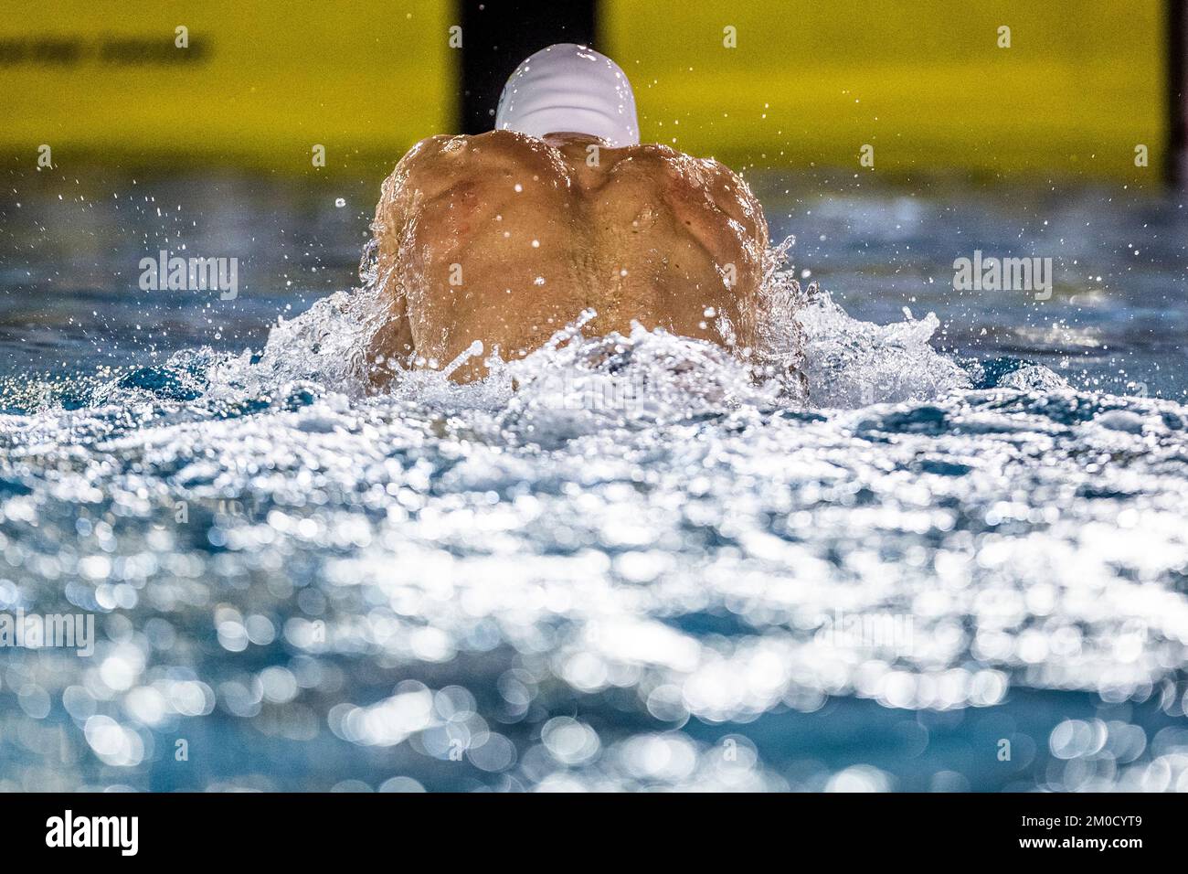 Brustschwimmen hires stock photography and images Alamy