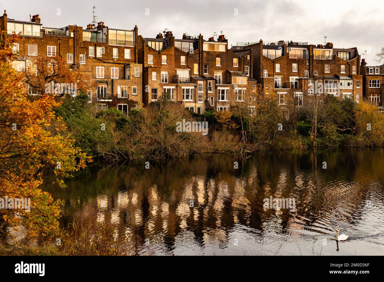 Part of the large Hampstead Heath,near south end green.An autumn scene showing striking houses overlooking the pond in wintry but warm colours Stock Photo