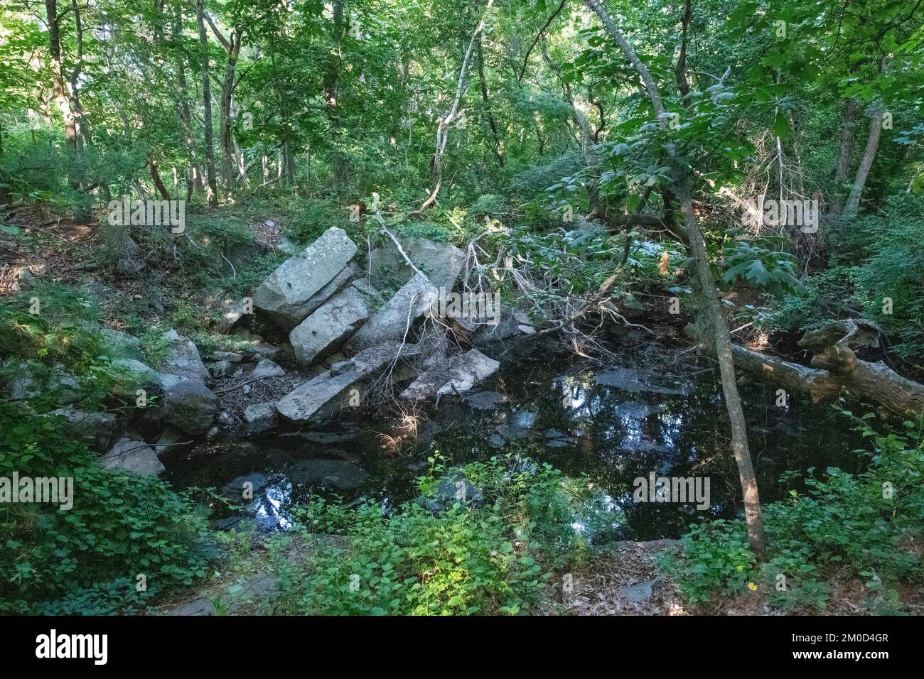 Halibut Point State Park Stock Photo Alamy