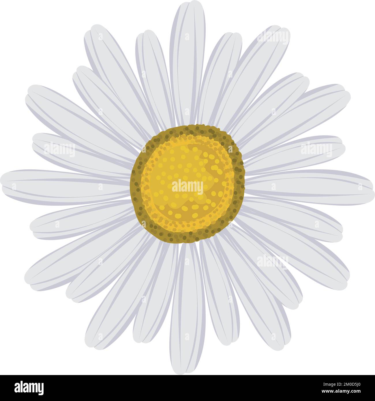daisy flower icon Stock Vector Image & Art - Alamy