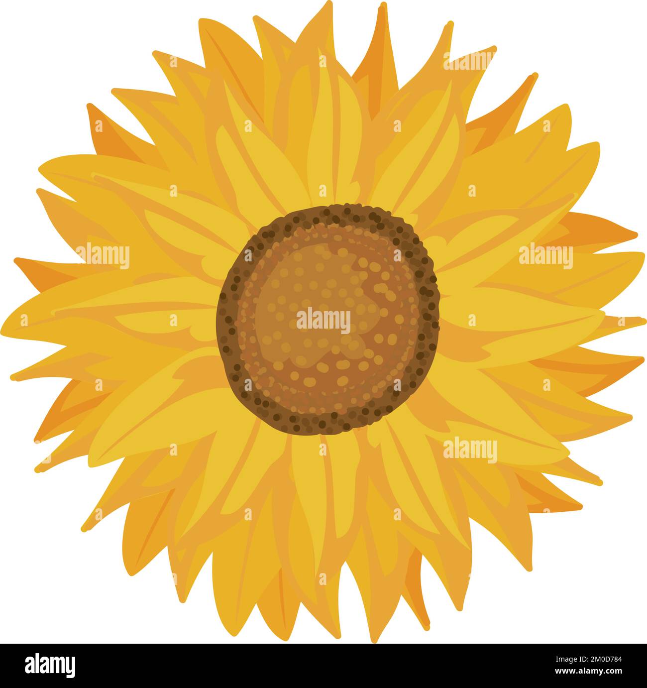 sunflower nature icon Stock Vector Image & Art - Alamy