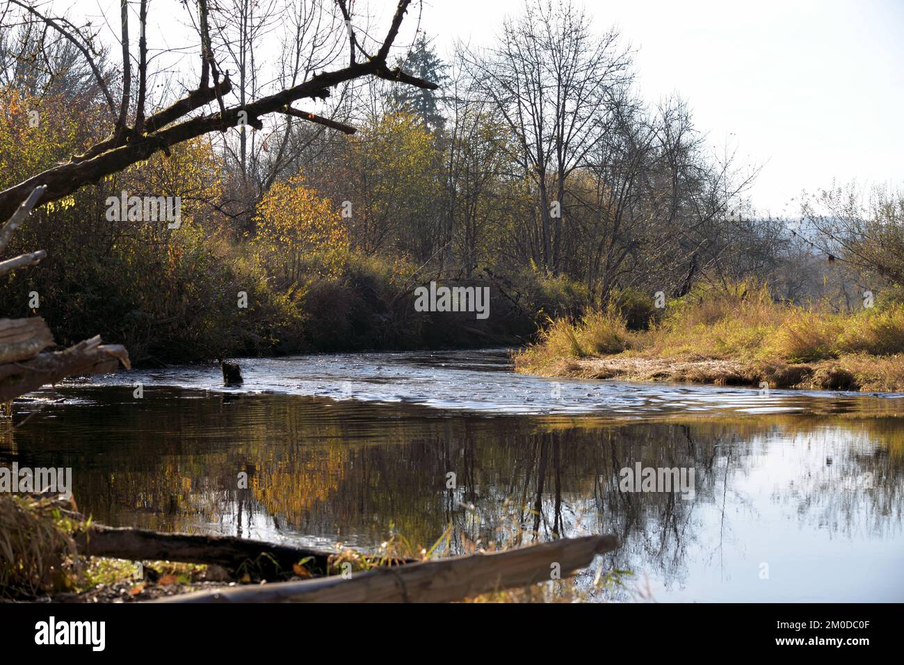 The Black River Stock Photo Alamy