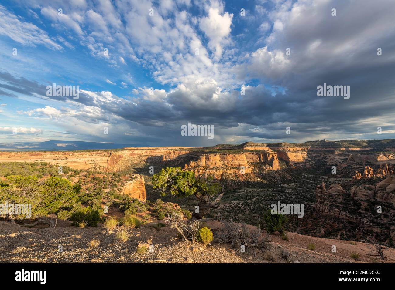 Colorado National Monument, stratus cumulus clouds, near Fruita, CO, USA, late September, by Dominique Braud/Dembinsky Photo Assoc Stock Photo