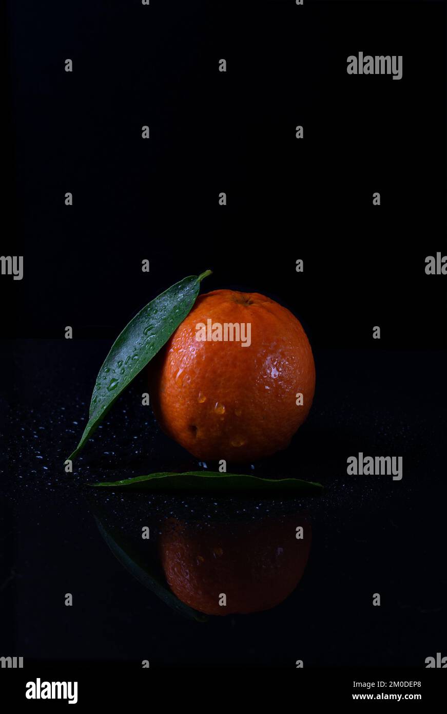 Black and bright orange hi-res stock photography and images - Alamy