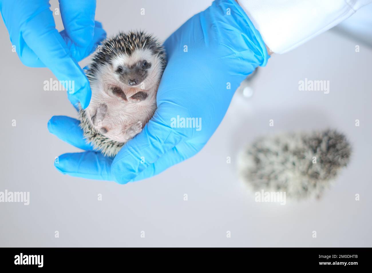 African doctor baby hi-res stock photography and images - Alamy