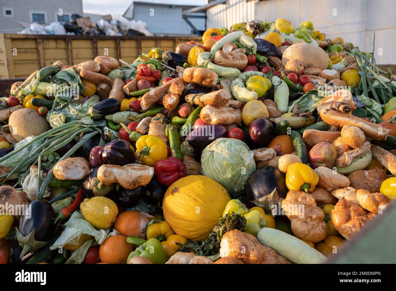 Bio Waste of Expired Vegetables in a huge container, Organic mix in a rubbish bin. Heap of