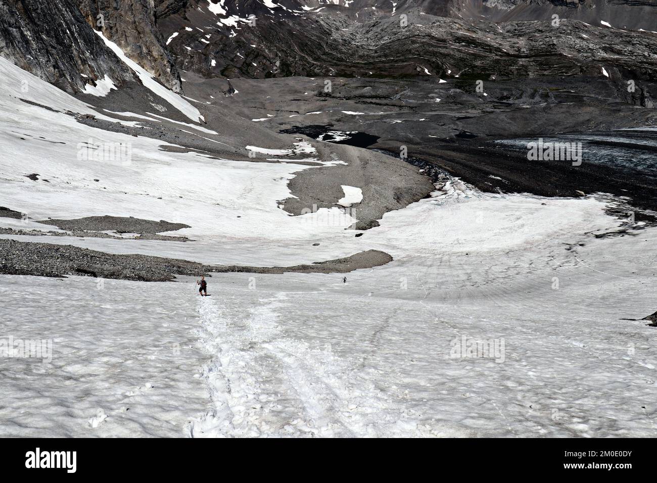 Hiking through the glaciers, rocks, and wildflowers on Petain Glacier. Stock Photo