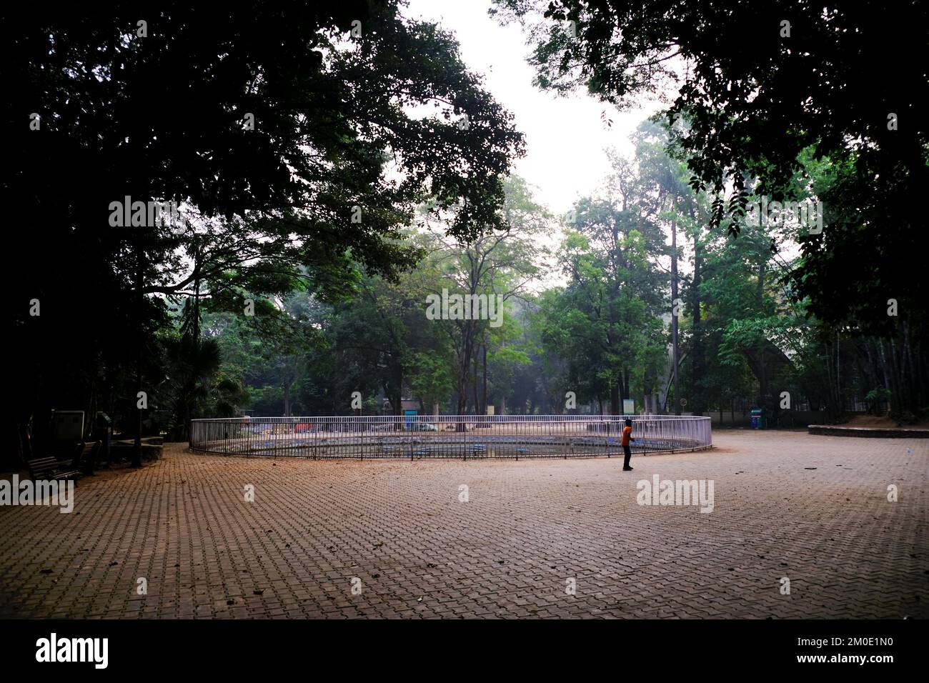 04 December 2022, Pune, India, Empress Botanical Garden, a green