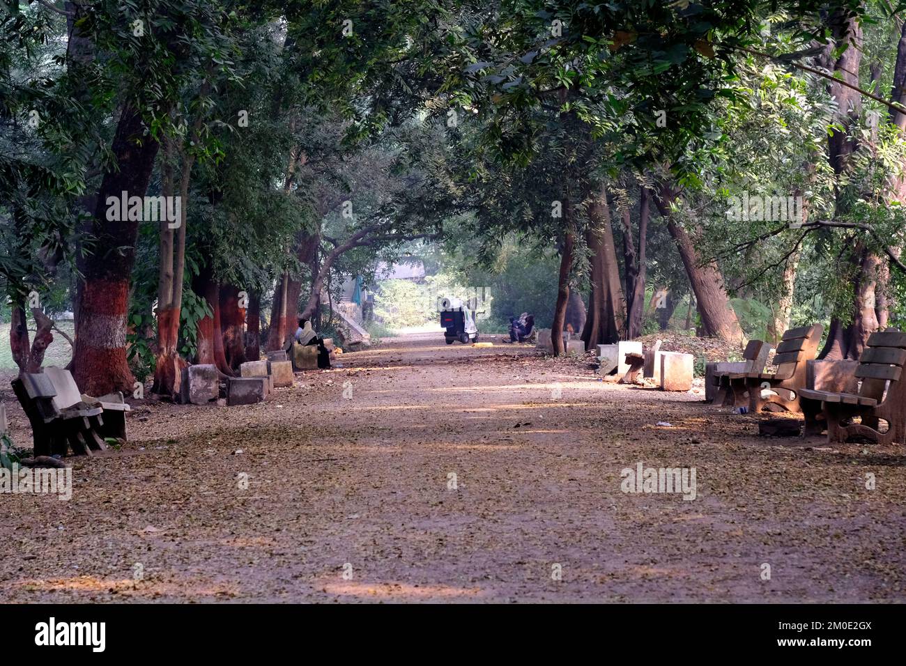 04 December 2022, Pune, India, Empress Botanical Garden, a green