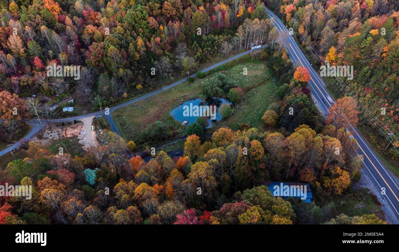 An aerial view of road surrounded by dense autumn trees Stock Photo - Alamy