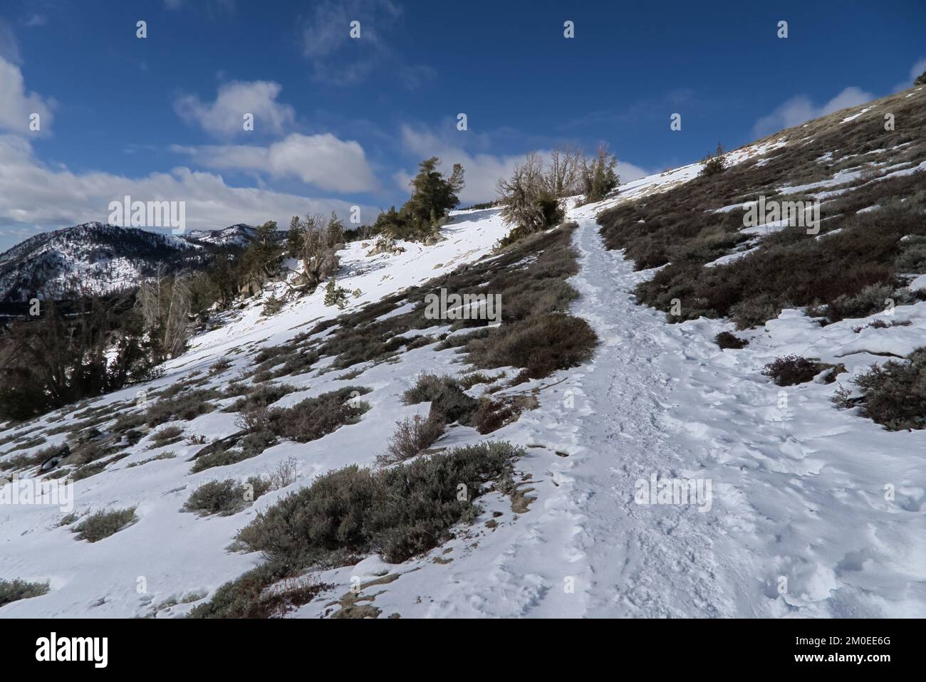 Snow covered trail leads to uphill with blue sky on Mt. Rose Submit trail. Stock Photo