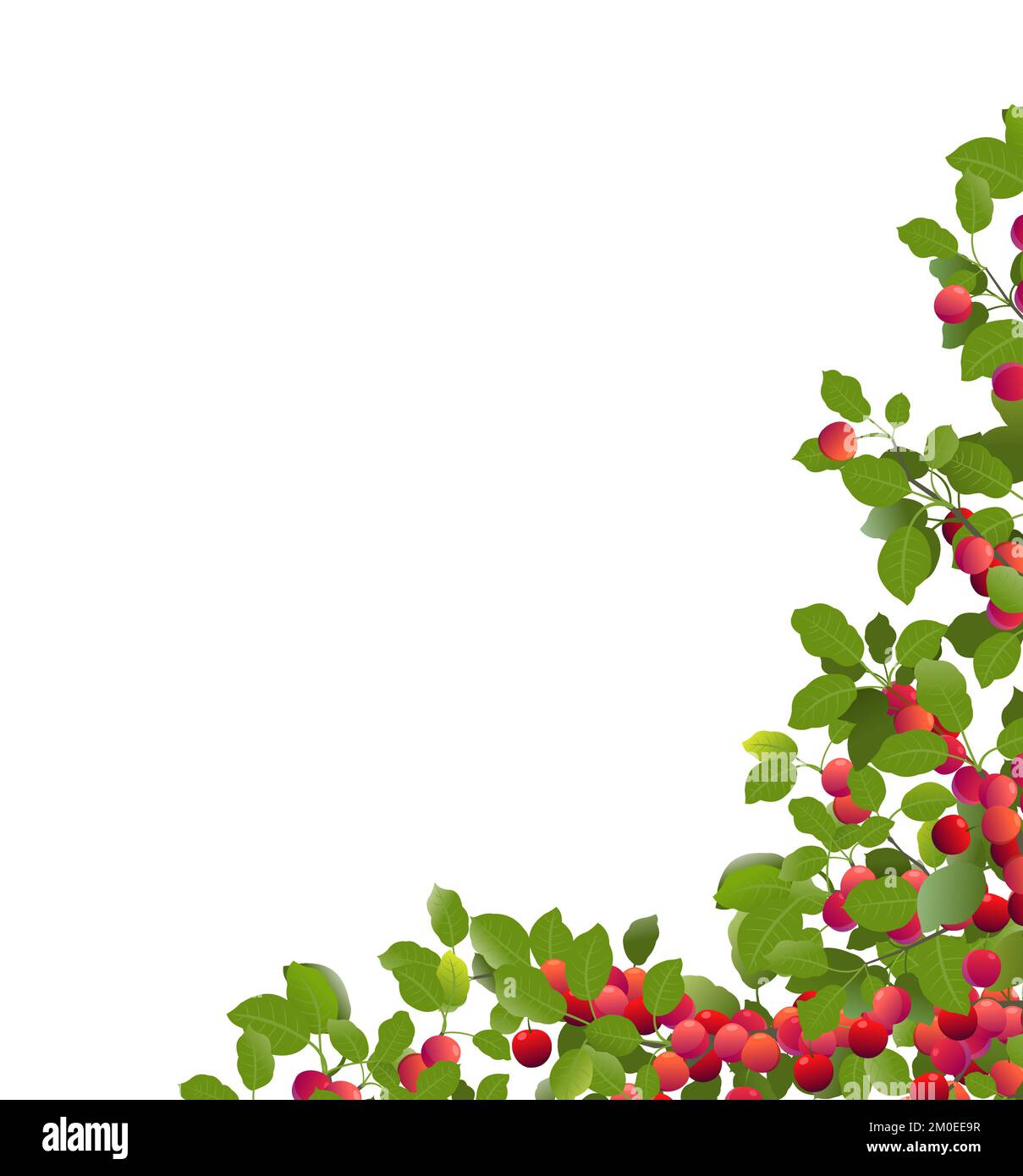 Branches cherry plum tree with ripe fruits. Corner frame. Garden plant