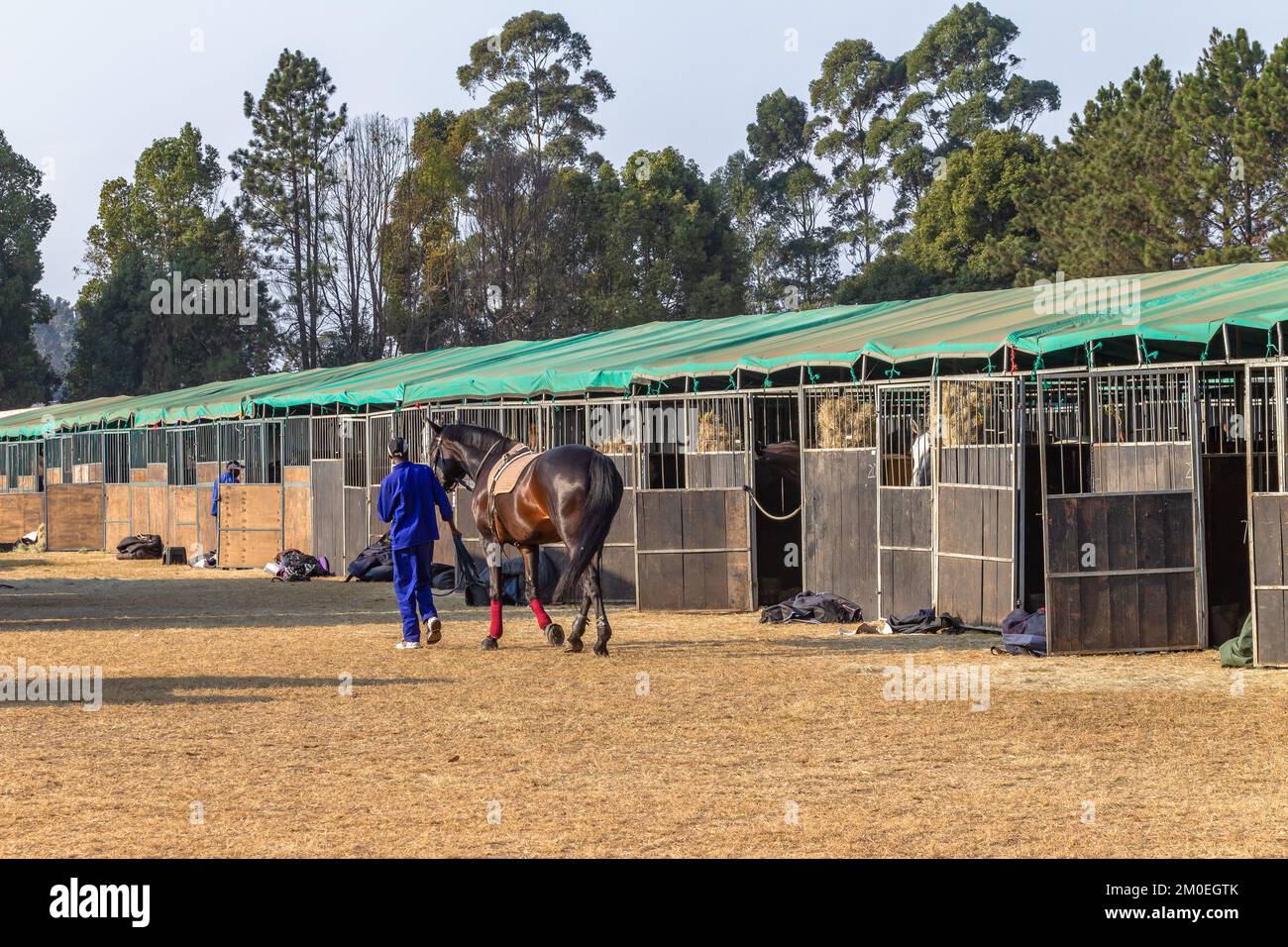 Equestrian nationals event portable mobile stables for horses safe keeping at ground venue. Stock Photo
