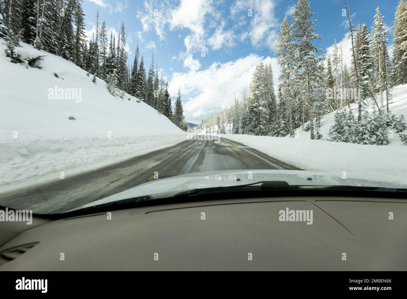 driving a car in the snow Stock Photo Alamy
