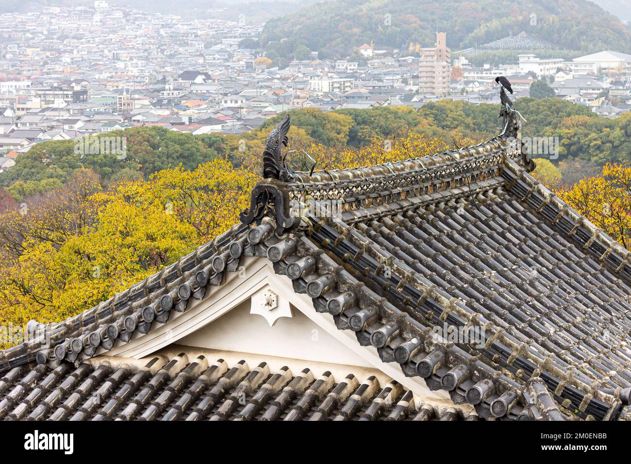 Himeji, Japan. Aerial view of the curved gables and rooftop tiles of