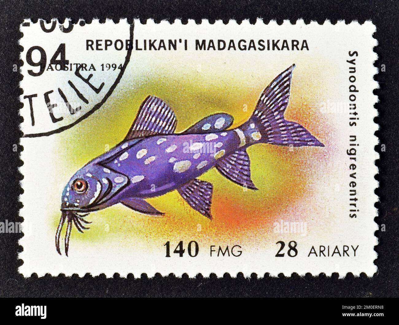 Cancelled postage stamp printed by Madagascar, that shows Upside-down Catfish (Synodontis nigriventris), circa 1994. Stock Photo