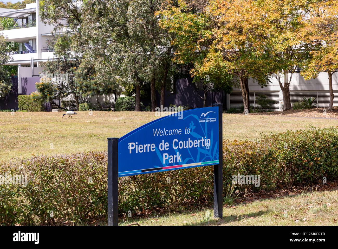 Pierre de coubertin park in Newington Sydney  named after the father of modern Olympics and founder of the International Olympic Committee,Australia Stock Photo