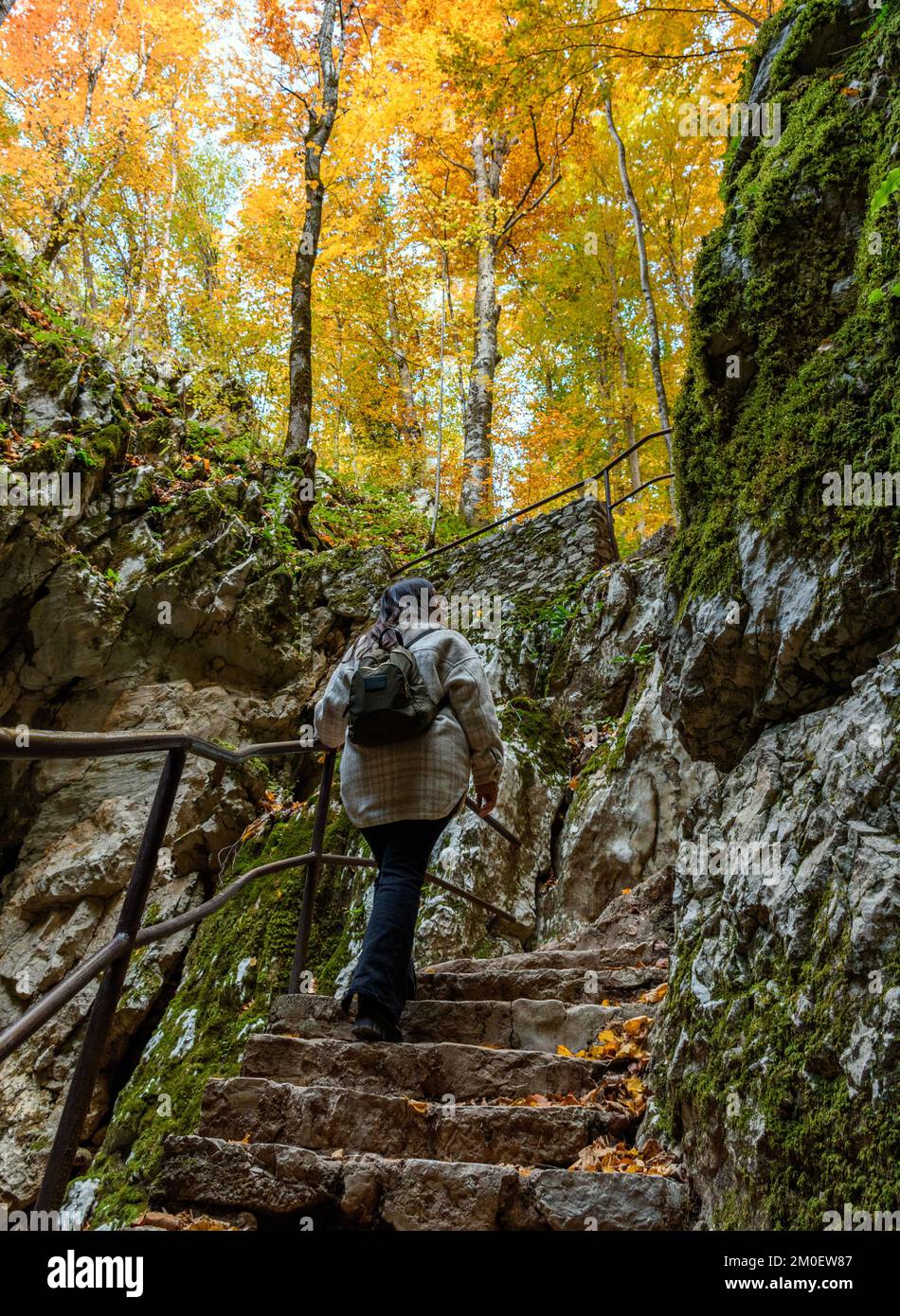 A vertical shot of a female with a backpack going up the stairs at ...
