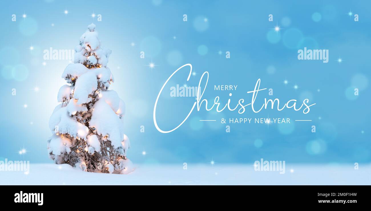 Merry Christmas card with natural snowy tree and Christmas lights. Stock Photo