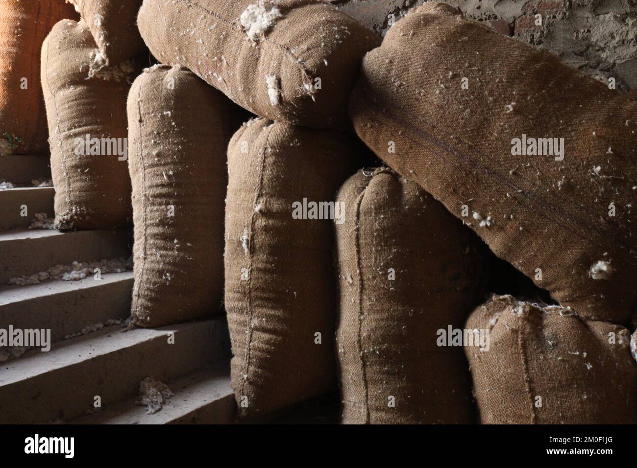 Cotton sack hires stock photography and images Alamy
