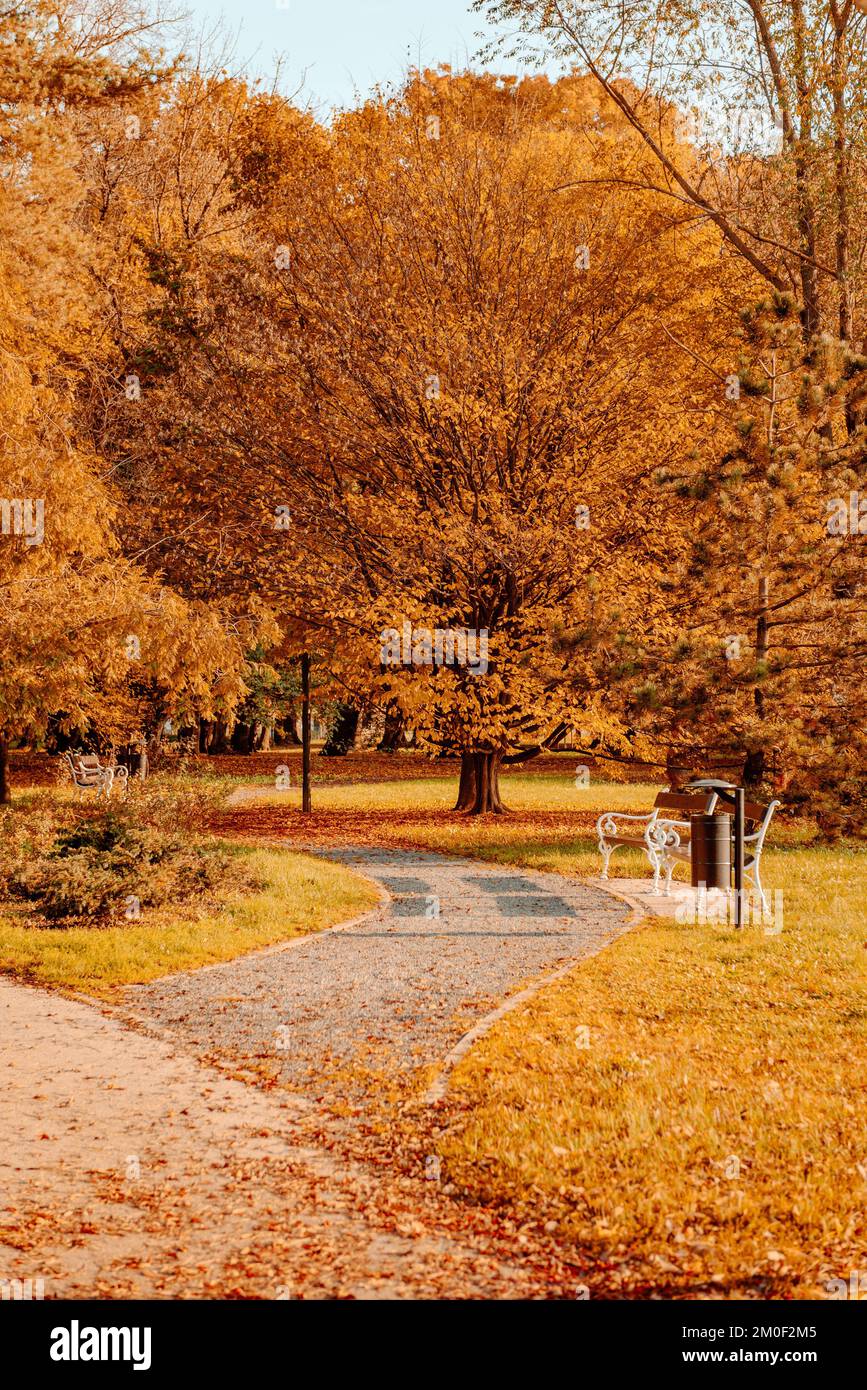 Path in beautiful park with autumn colors of trees and foliage in Cakovec, Croatia Stock Photo