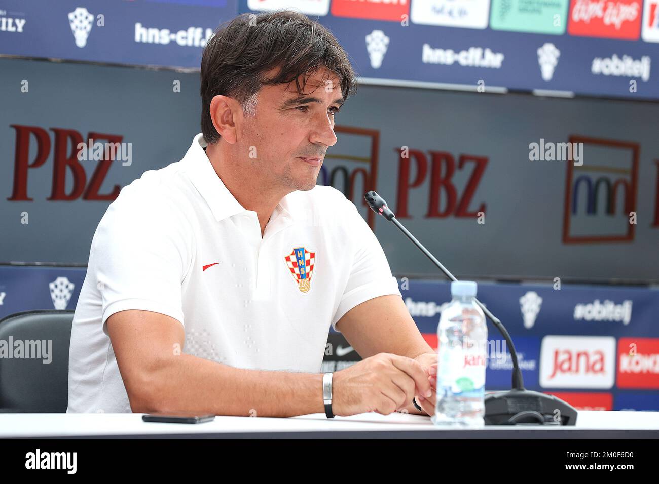 The Coaching Evolution: From Dinamo to the National Team