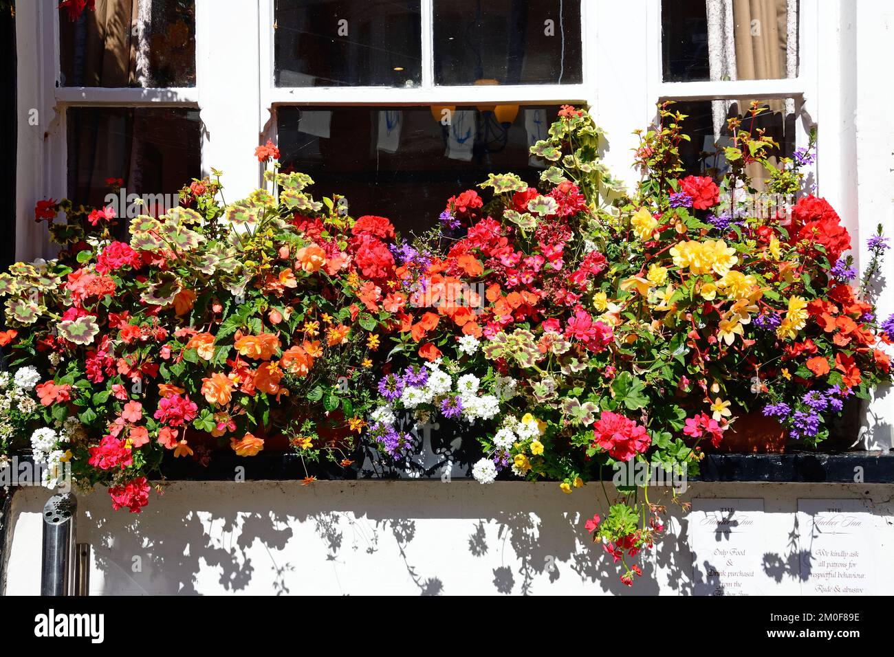 Pretty window boxes on the front of the Anchor Inn along Old Fore Street in the town centre, Sidmouth, Devon, UK, Europe. Stock Photo