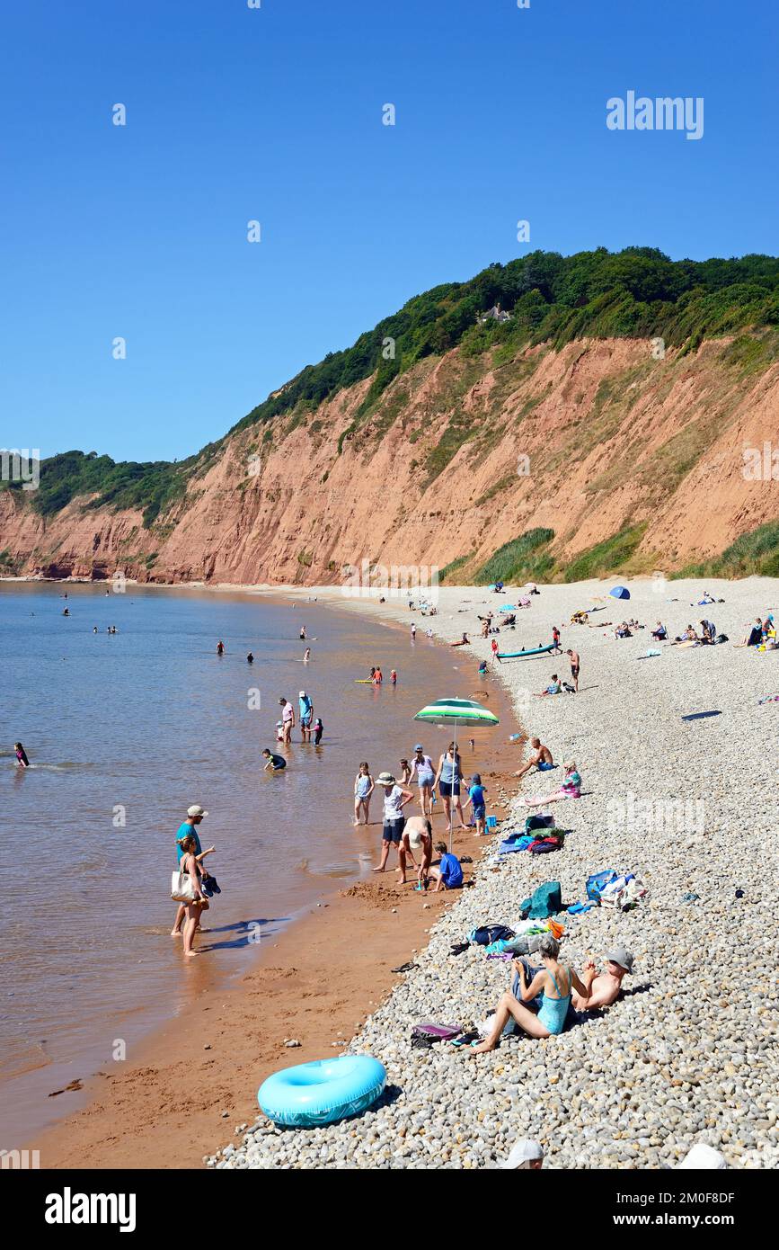 Elevated view of tourists relaxing on Jacobs Ladder beach with cliffs to the rear, Sidmouth, Devon, UK, Europe. Stock Photo