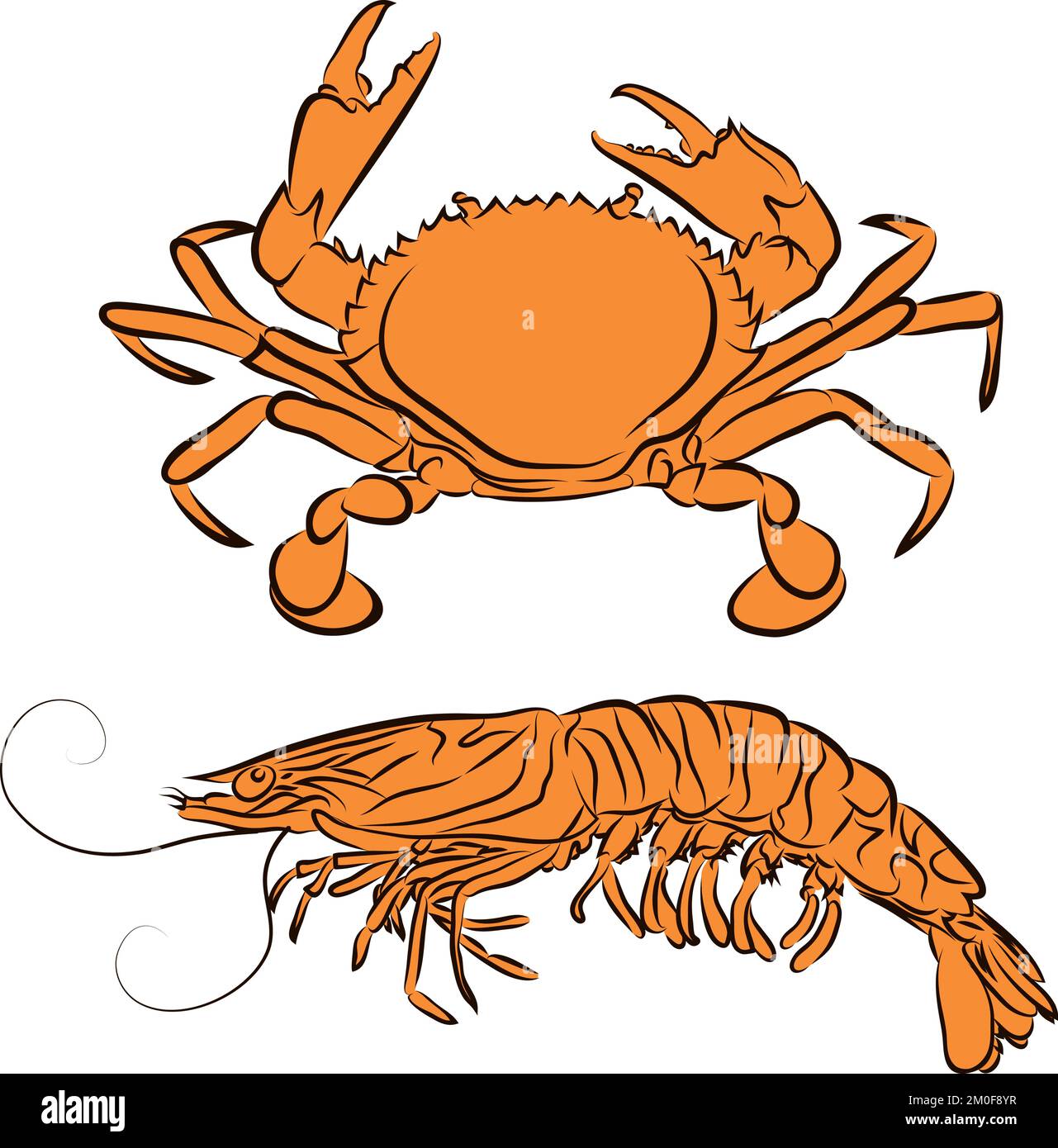 A prawn and crab isolated on the white background Stock Vector Image