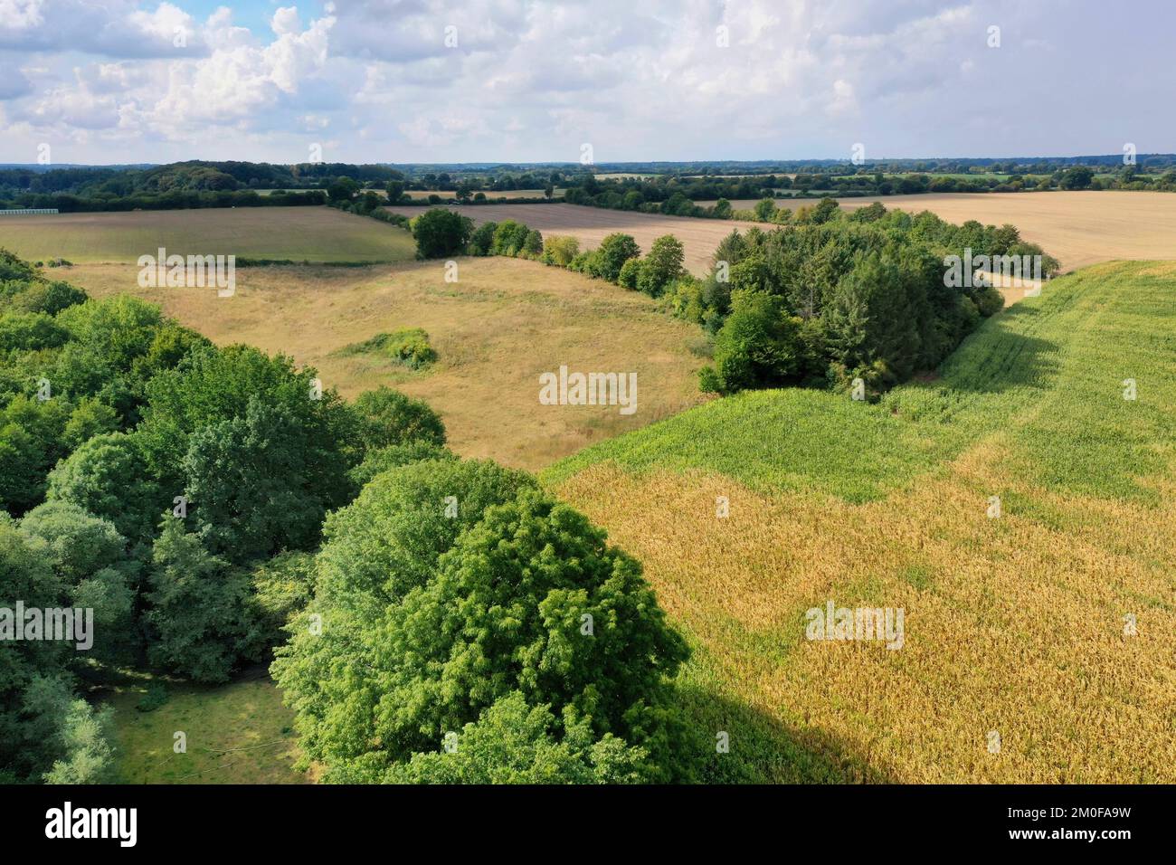 fields, meadows and hedges in summer, aerial view, Germany, Schleswig-Holstein Stock Photo