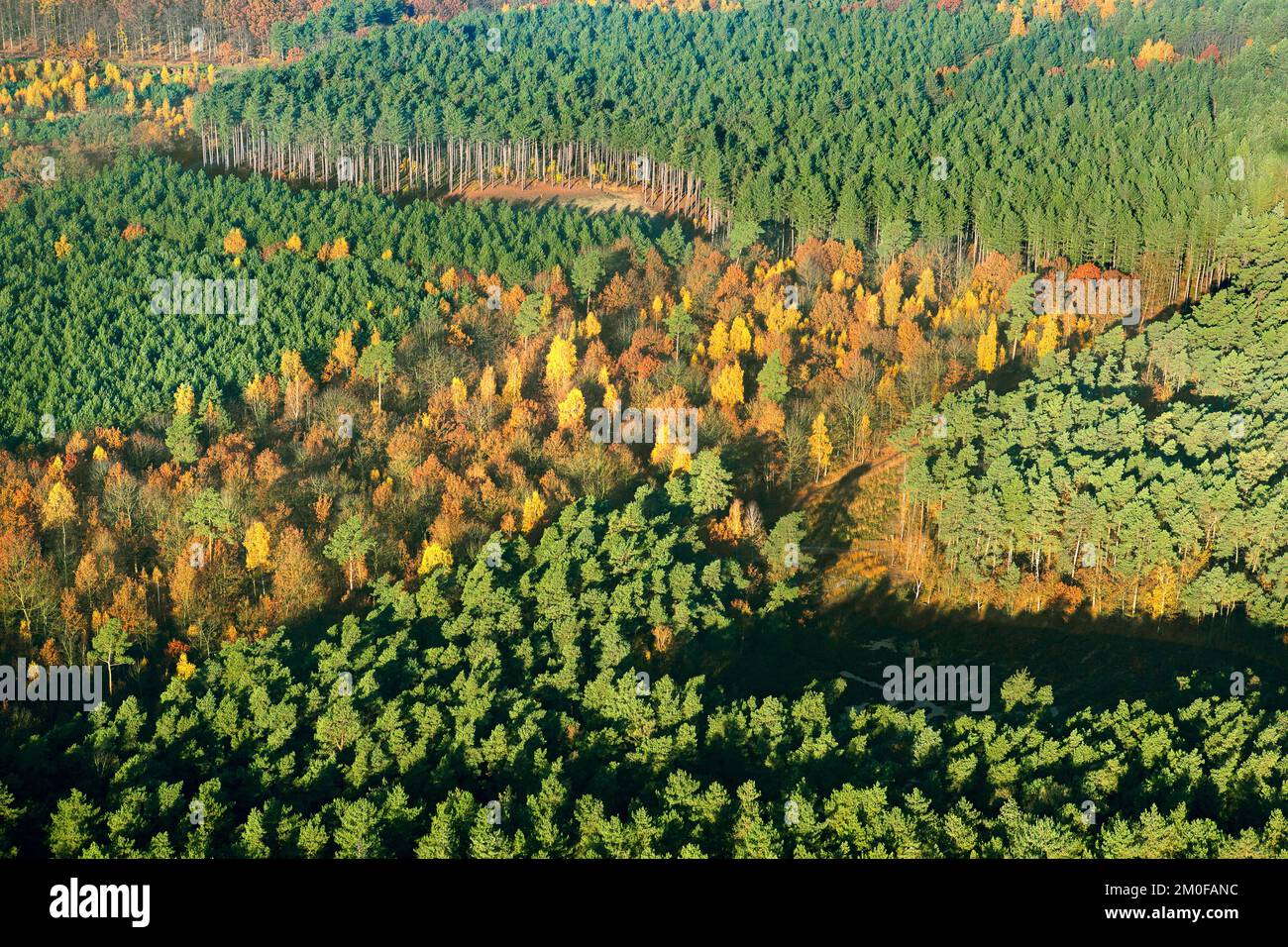 jobbörse heide