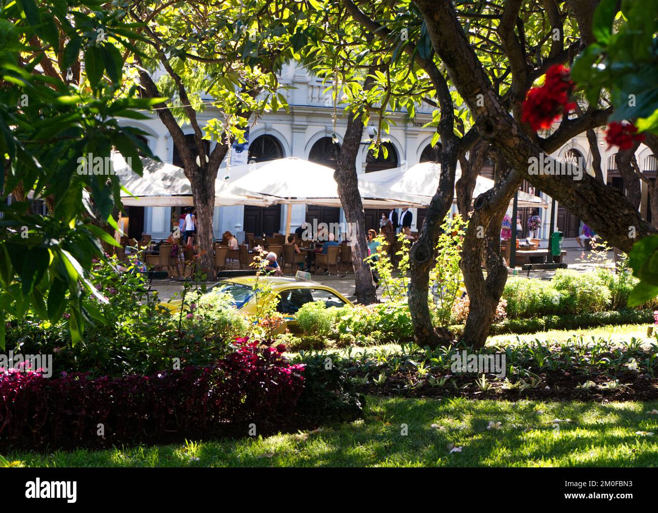 The Ritz, Funchal, Madeira, Portugal, viewed from the Jardim Municipal do Funchal Stock Photo
