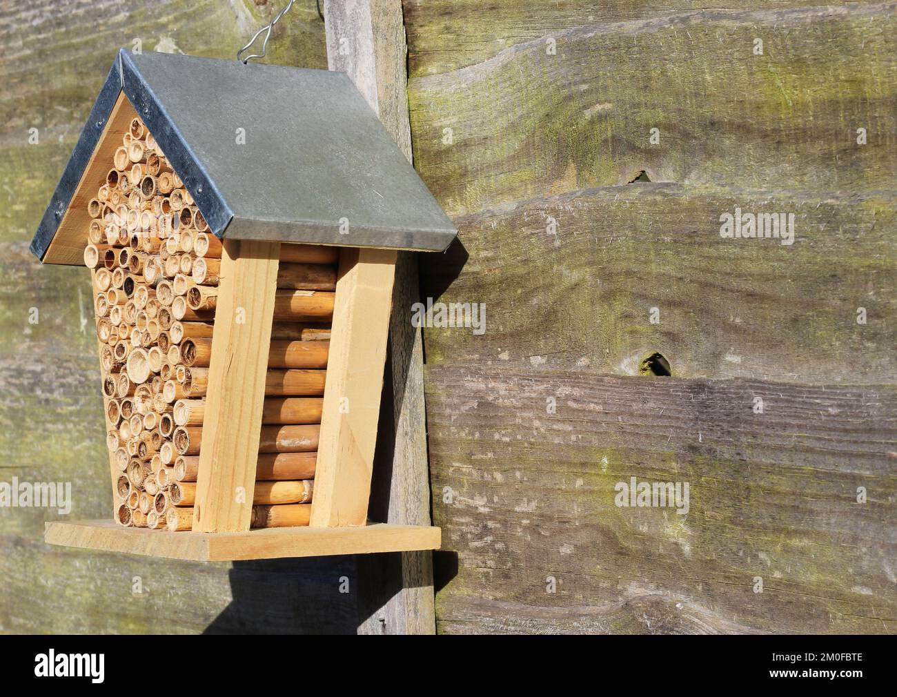 Bee house mad of wood and hollow bamboo. Stock Photo