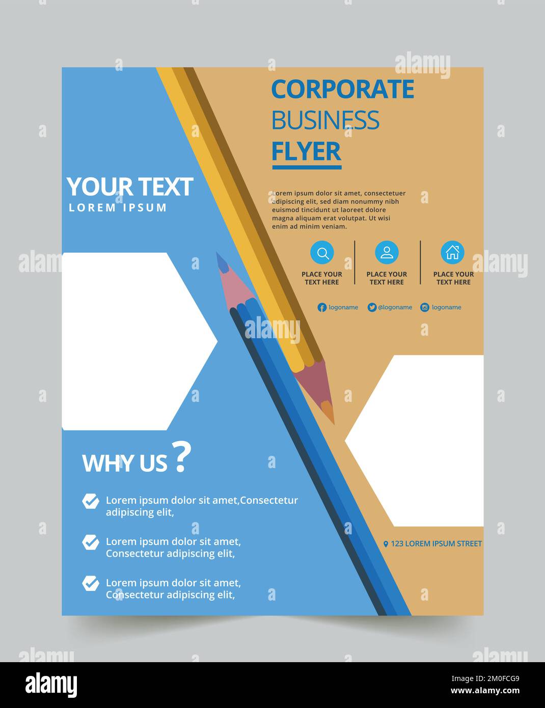 Professional business flyer design template for business Stock Vector