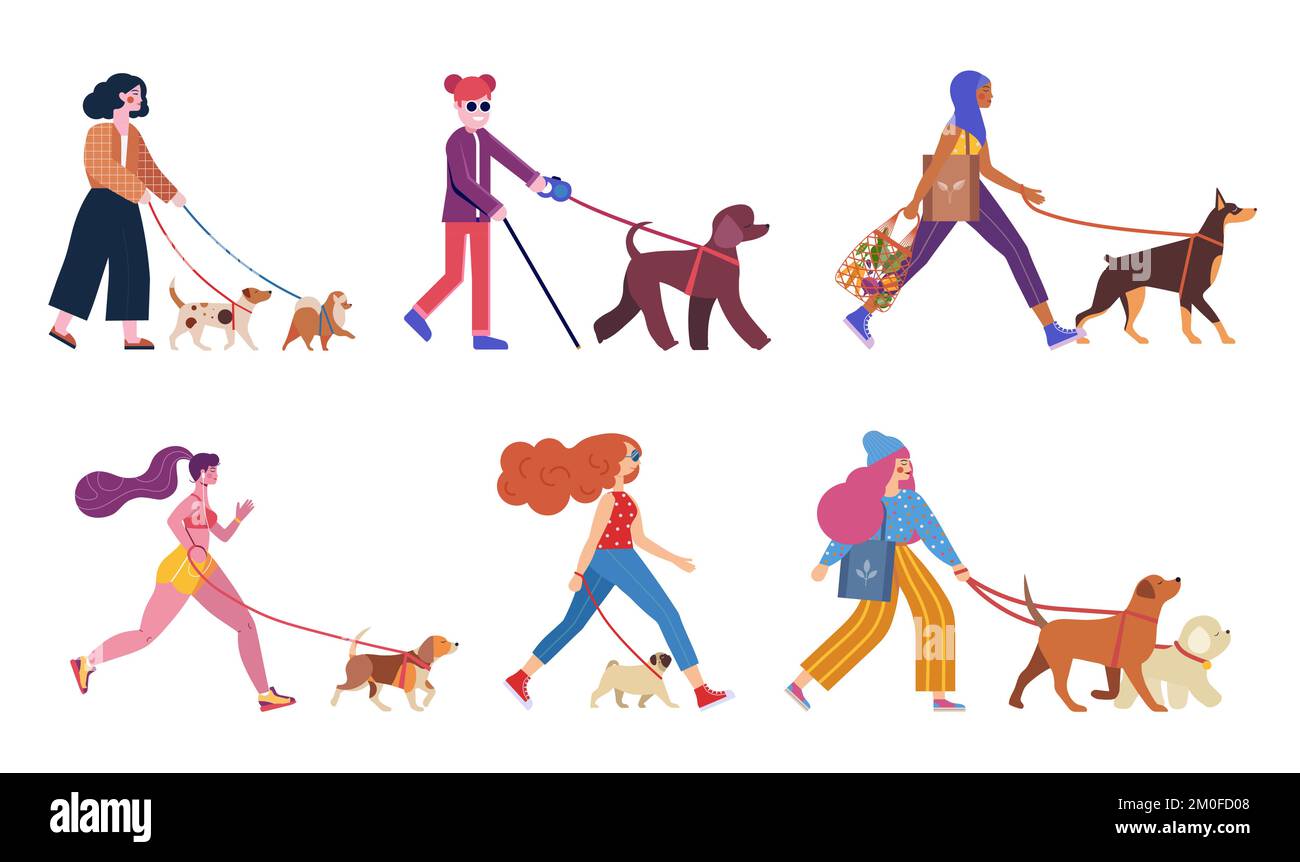 Modern Women Walking with Dogs on Leashes Stock Vector Image & Art Alamy