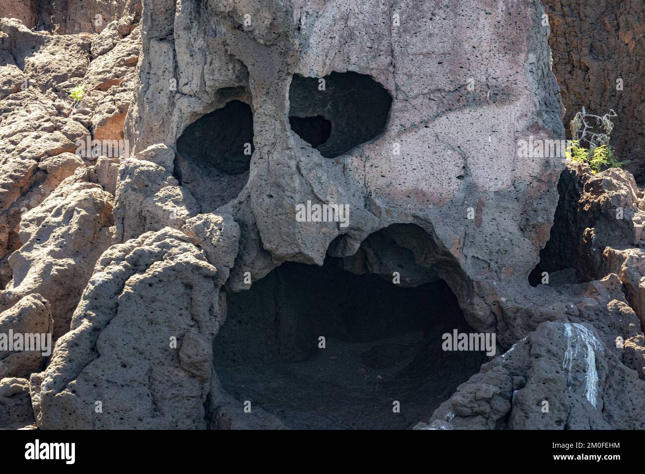 Skeleton Head Rocks skull shape baja california sur cortez sea rocks detail close up Stock ...