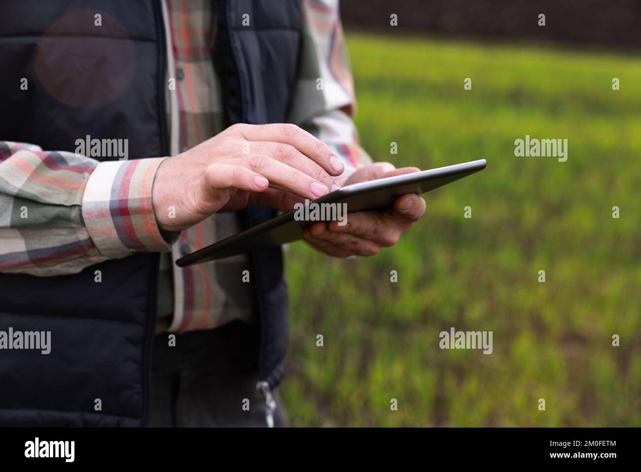 Farmer with digital tablet in young wheat field. Smart farming and digital agriculture  Stock Photo