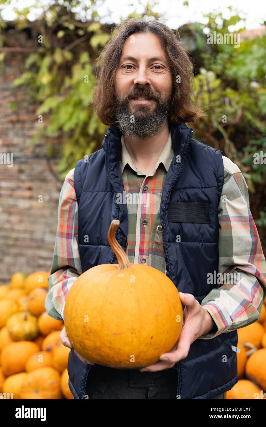 Bearded farmer with pumpkin on a background of a pile of pumpkins  Stock Photo