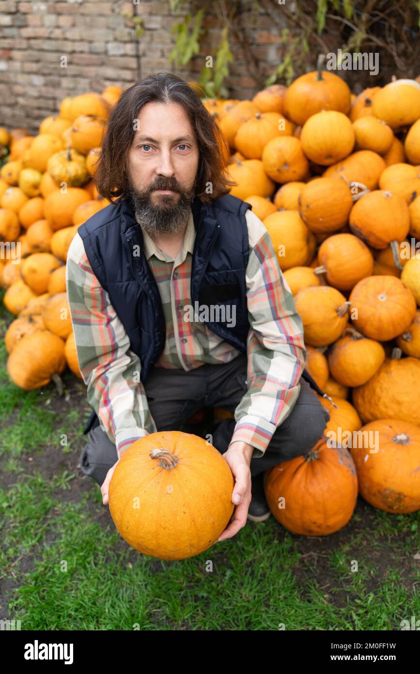 Bearded farmer with pumpkin on a background of a pile of pumpkins  Stock Photo