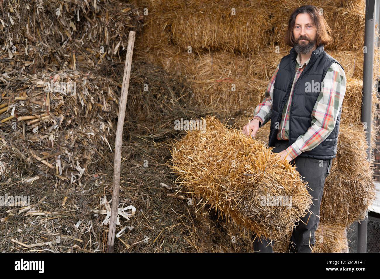 Bearded adult caucasian farmer in the hayloft.  Stock Photo