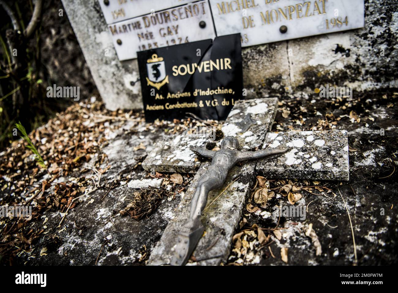 Prince (musician) visual data 4