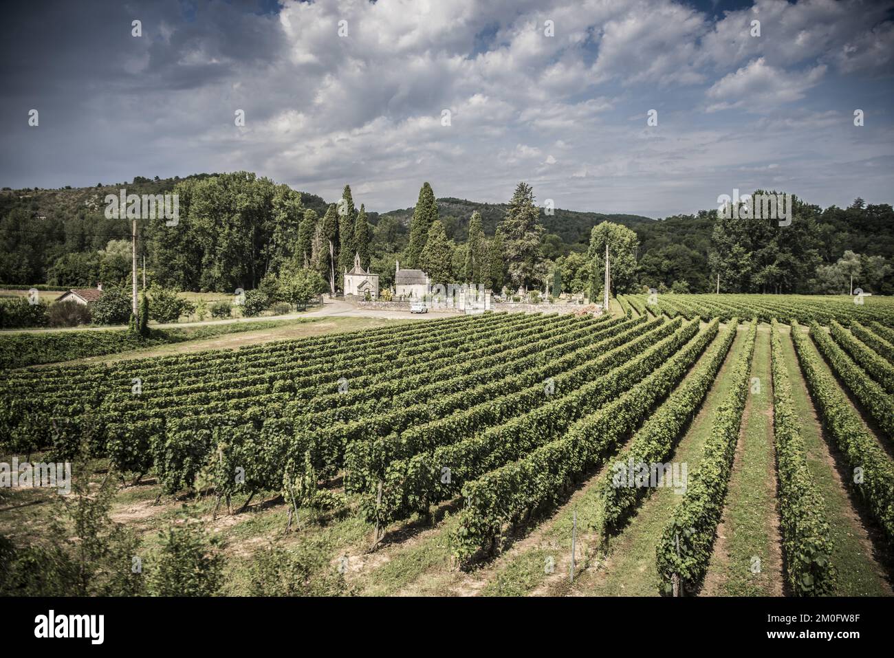 Prince (musician) intelligence overview