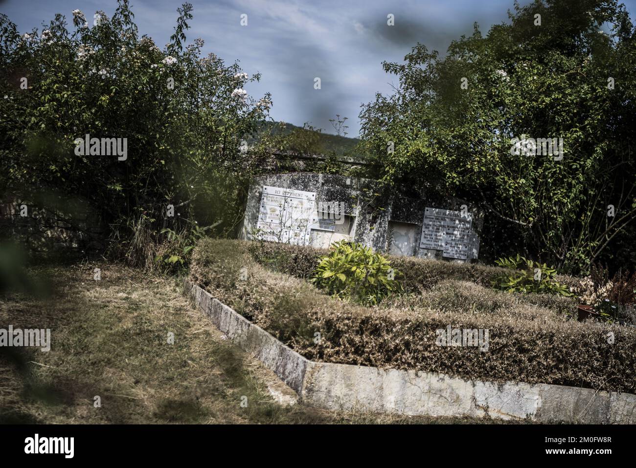 Prince (musician) visual data 3