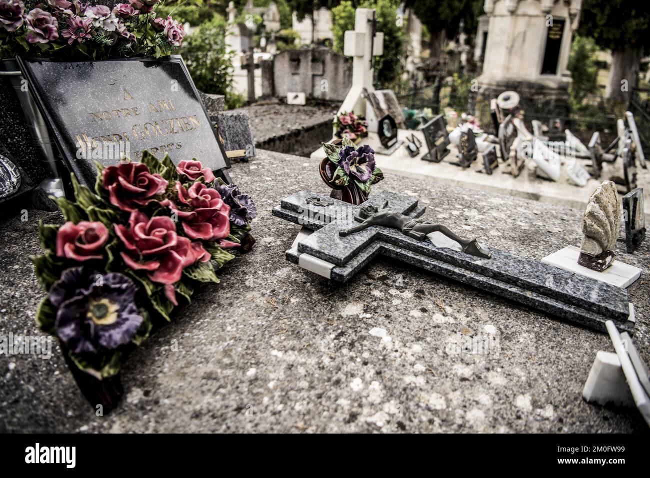 Prince (musician) visual data 8