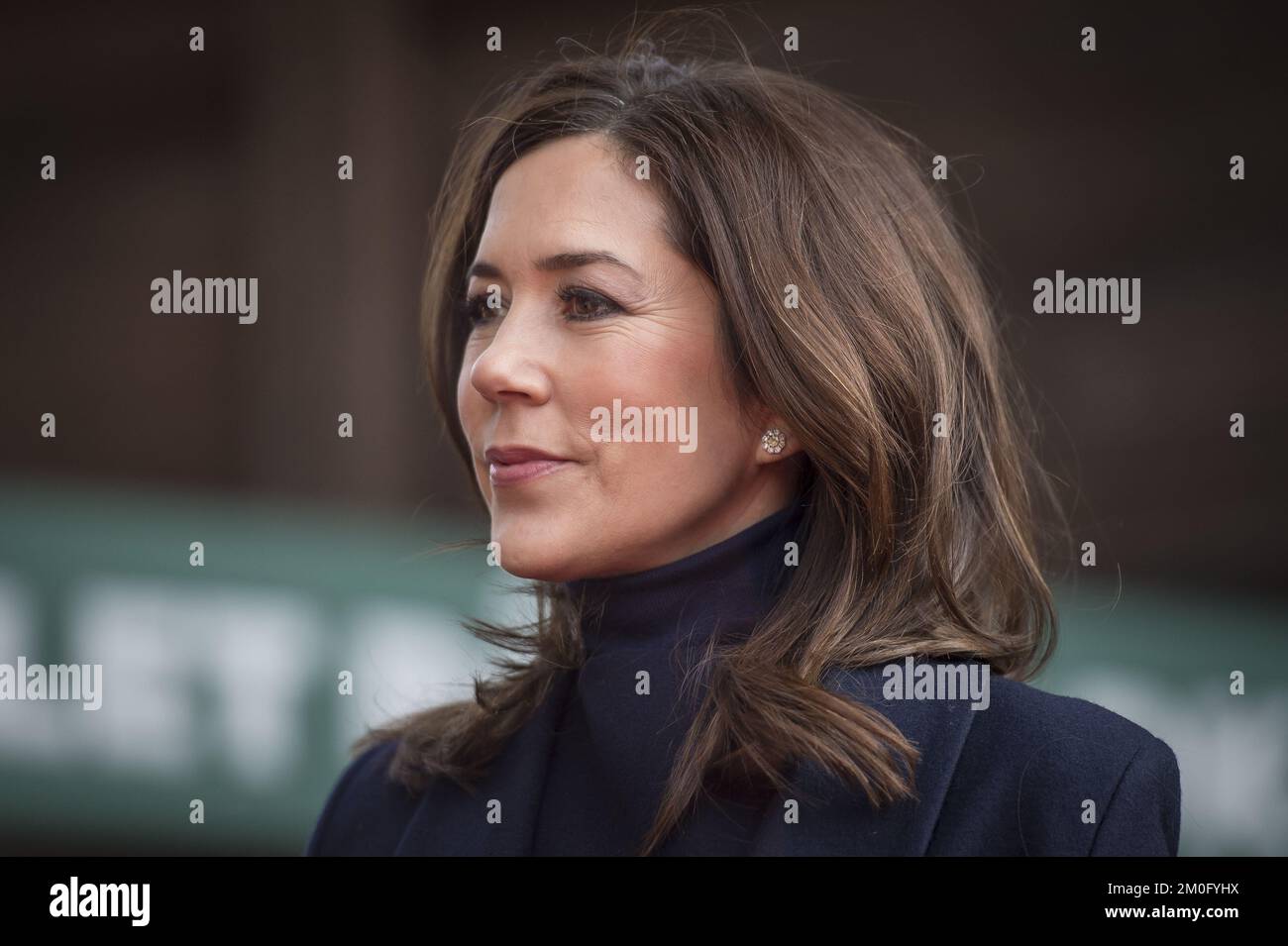 On April 11th 2019 HRH Crown Princess Mary attended the first public showing of Copenhagen Zoo's new pandas with her youngest children the twins Princess Josephine and Prince Vincent. She was invited in her new capacity as protector for the Zoo one she took over from the late Prince Henrik. Stock Photo